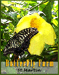 butterflyPoster1